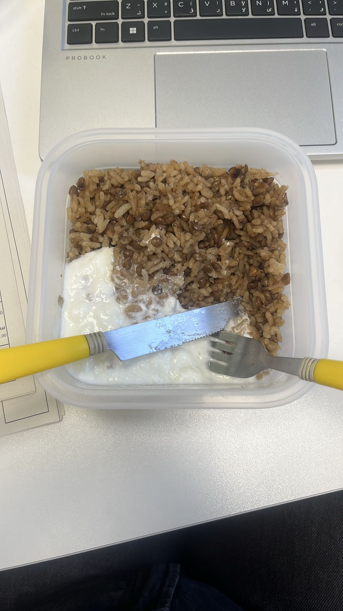 Rice, lentils and yogurt