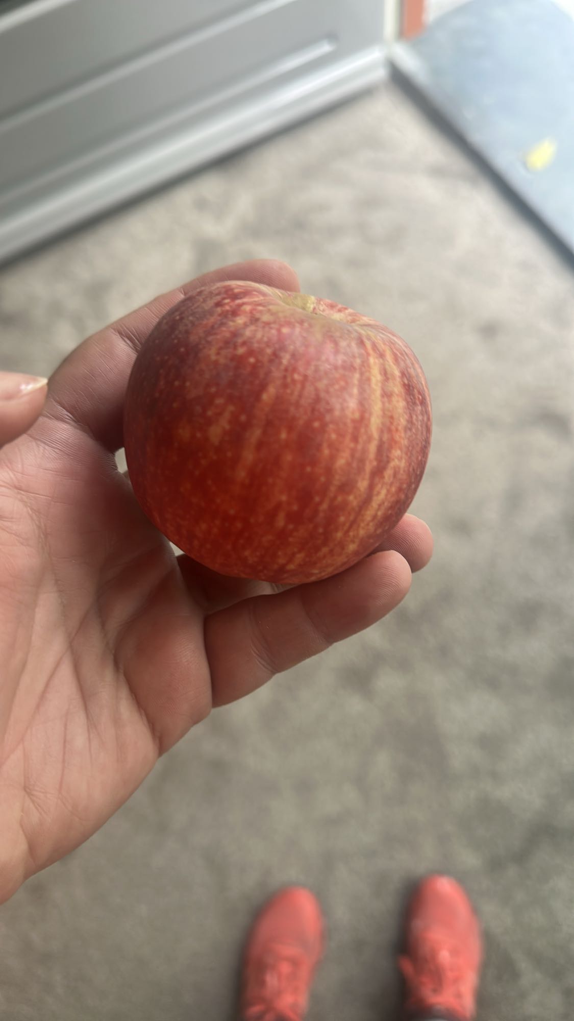 Red Apple Snack