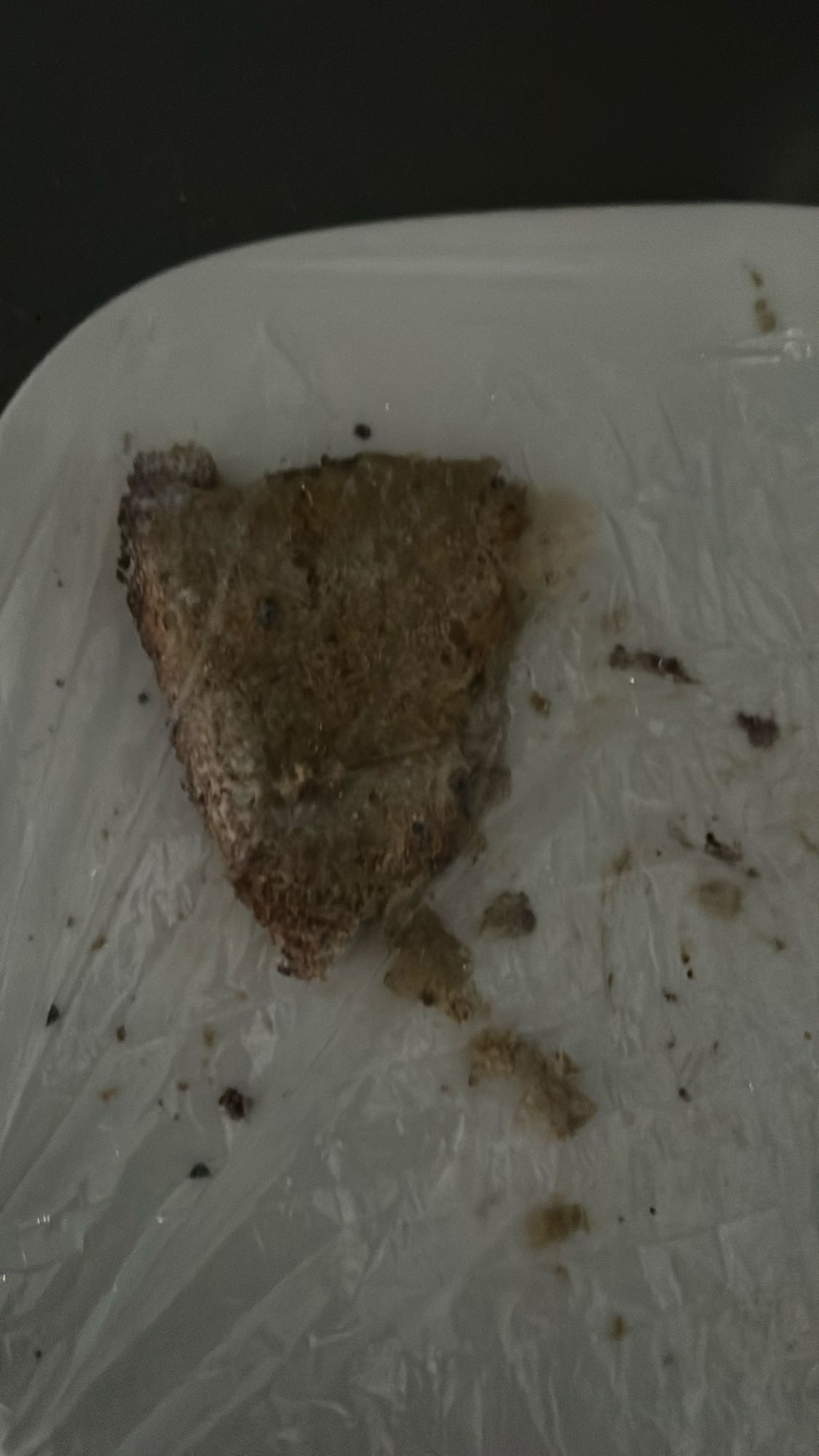 Toasted brown bread slice