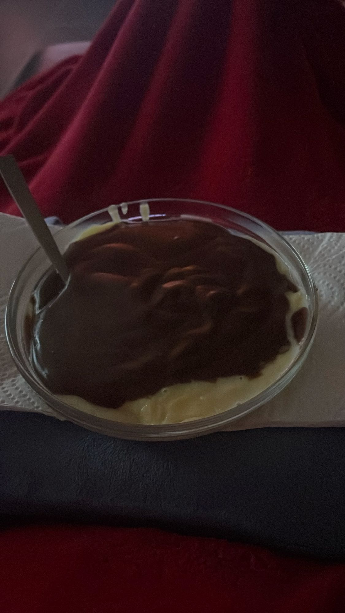 Vanille-Schoko Pudding
