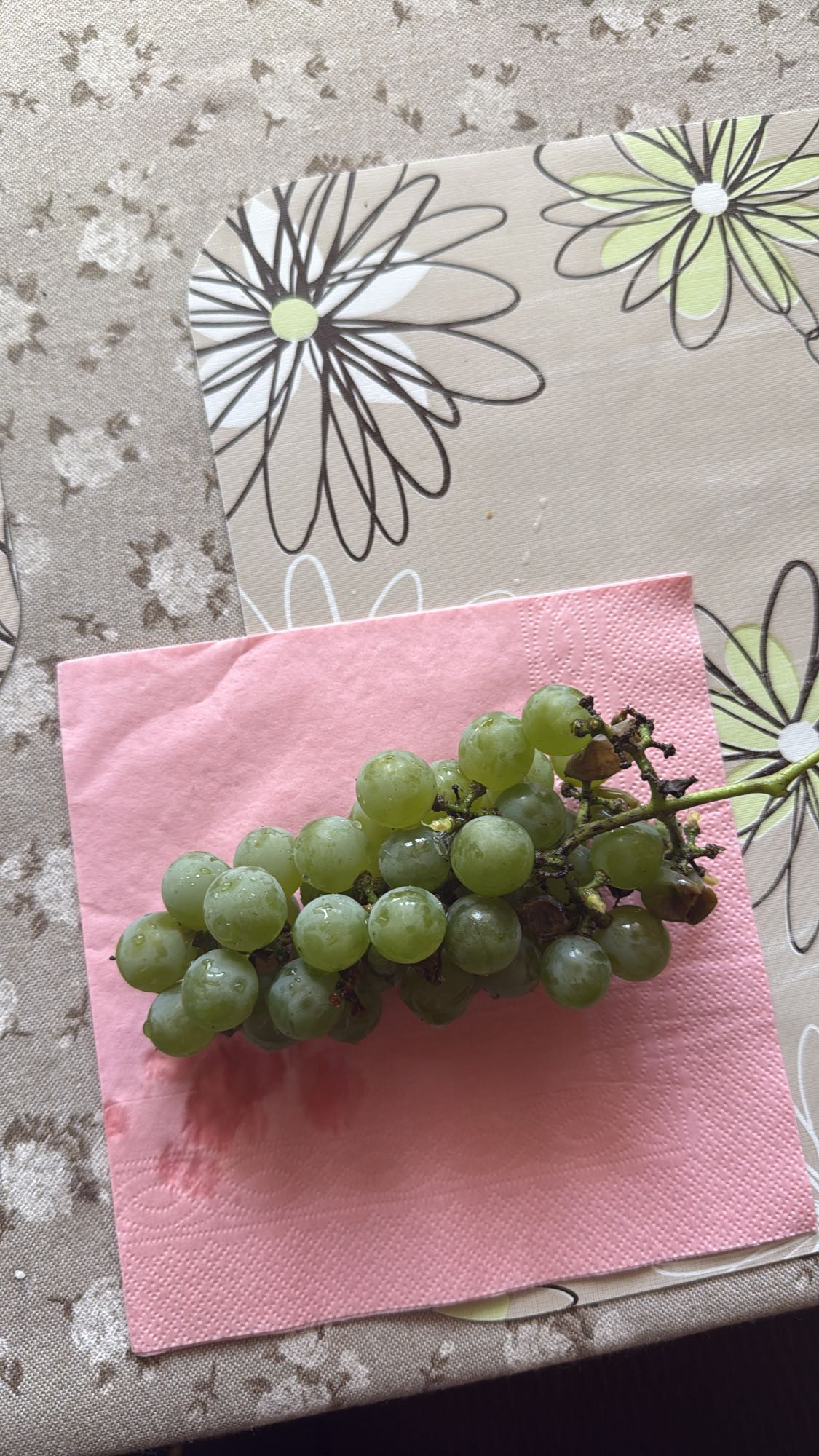 Struguri verzi proaspeți