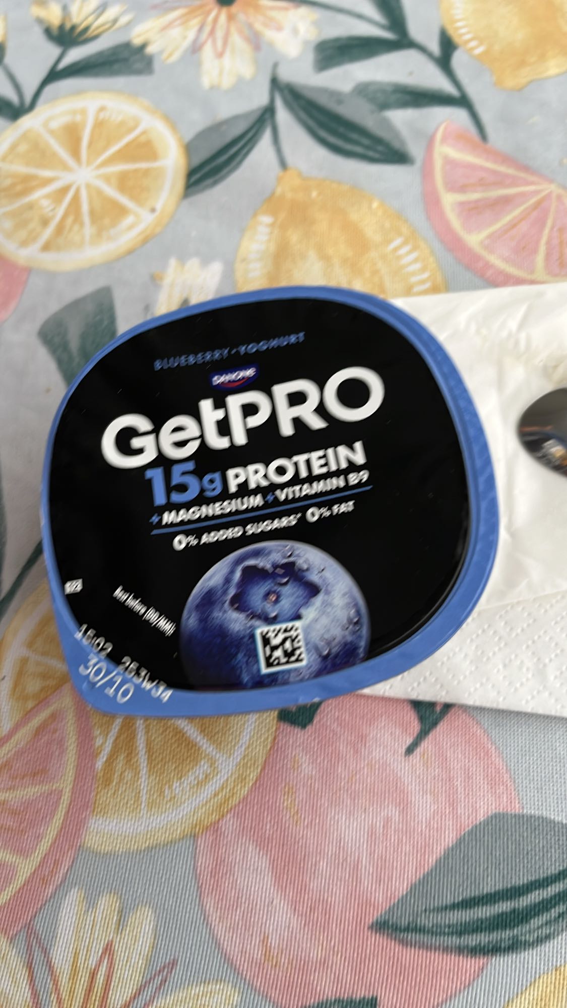 Blueberry Protein Yogurt