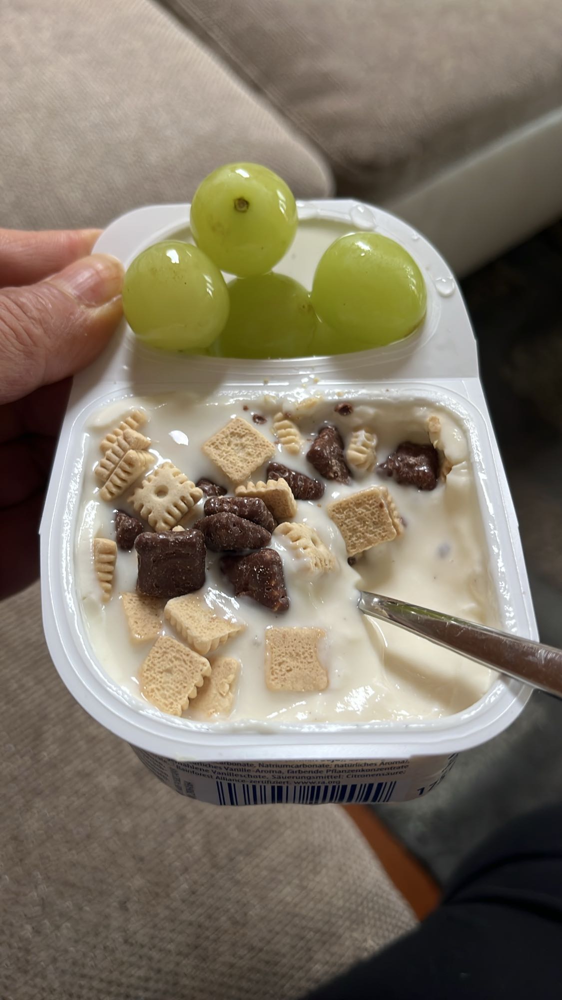 Joghurt mit Müsli & Trauben