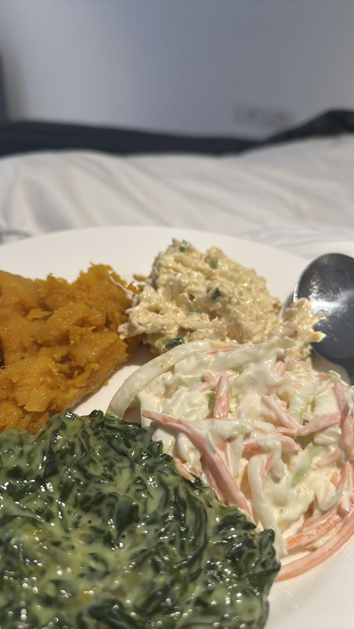 Creamy Veg & Chicken Plate