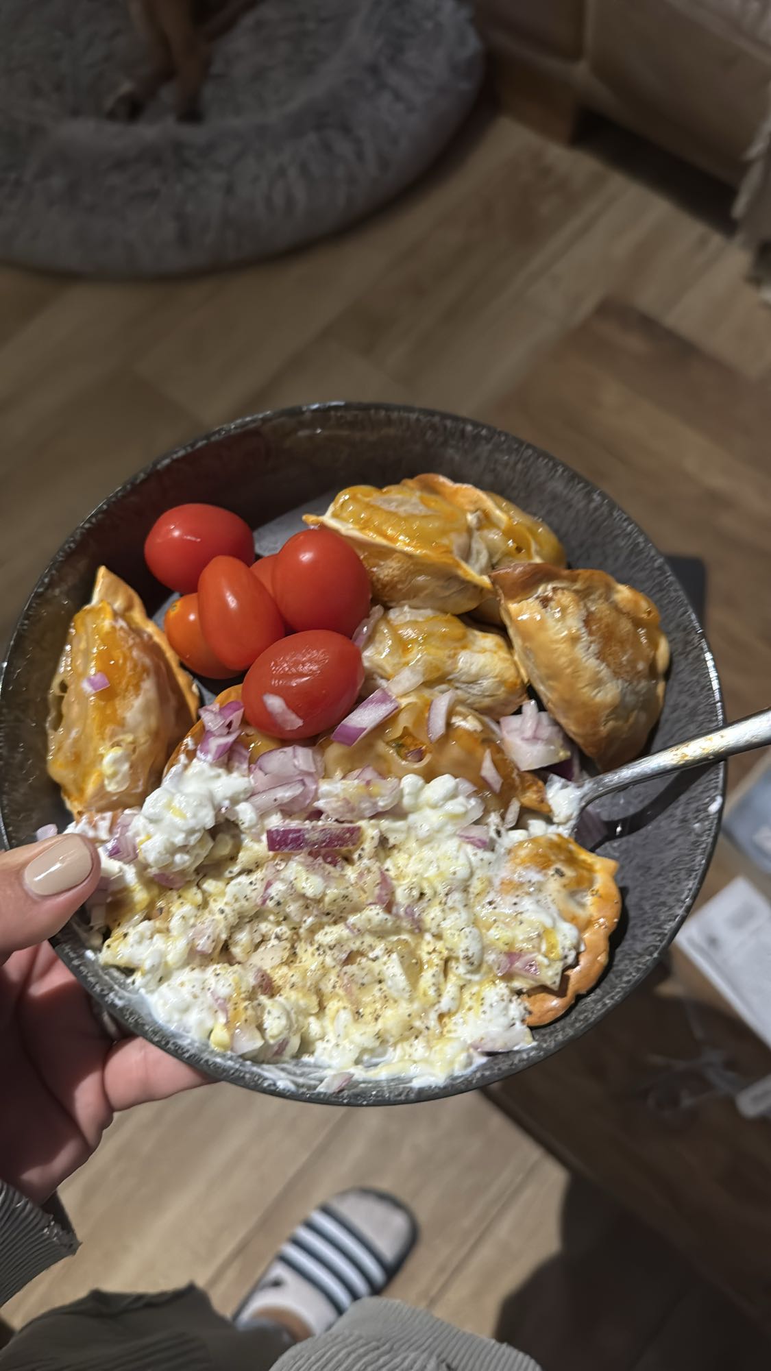 Gyoza mit Gemüsefüllung und Sojasauce mit Hüttenkäse, Senf und Zwiebel