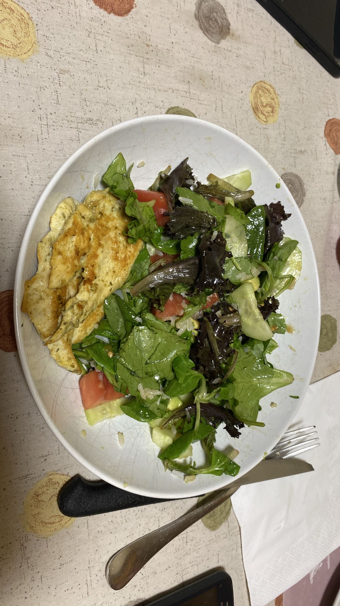 Ensalada con pollo y arroz