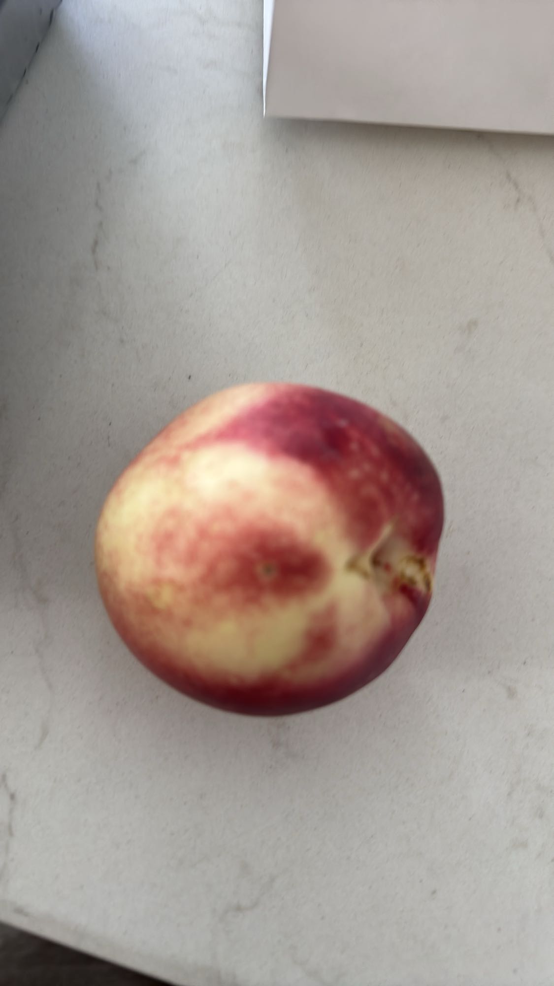 Fresh Nectarine