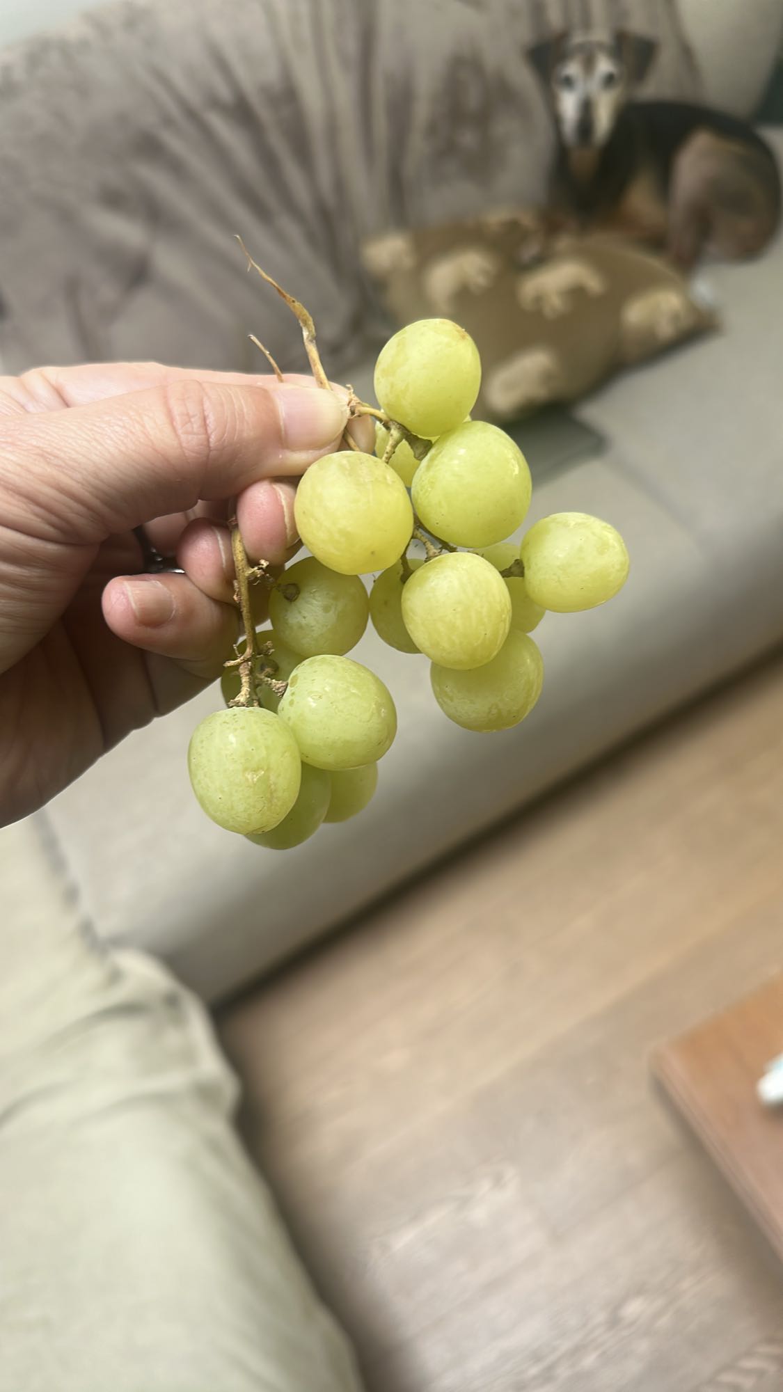 Green Grapes Snack