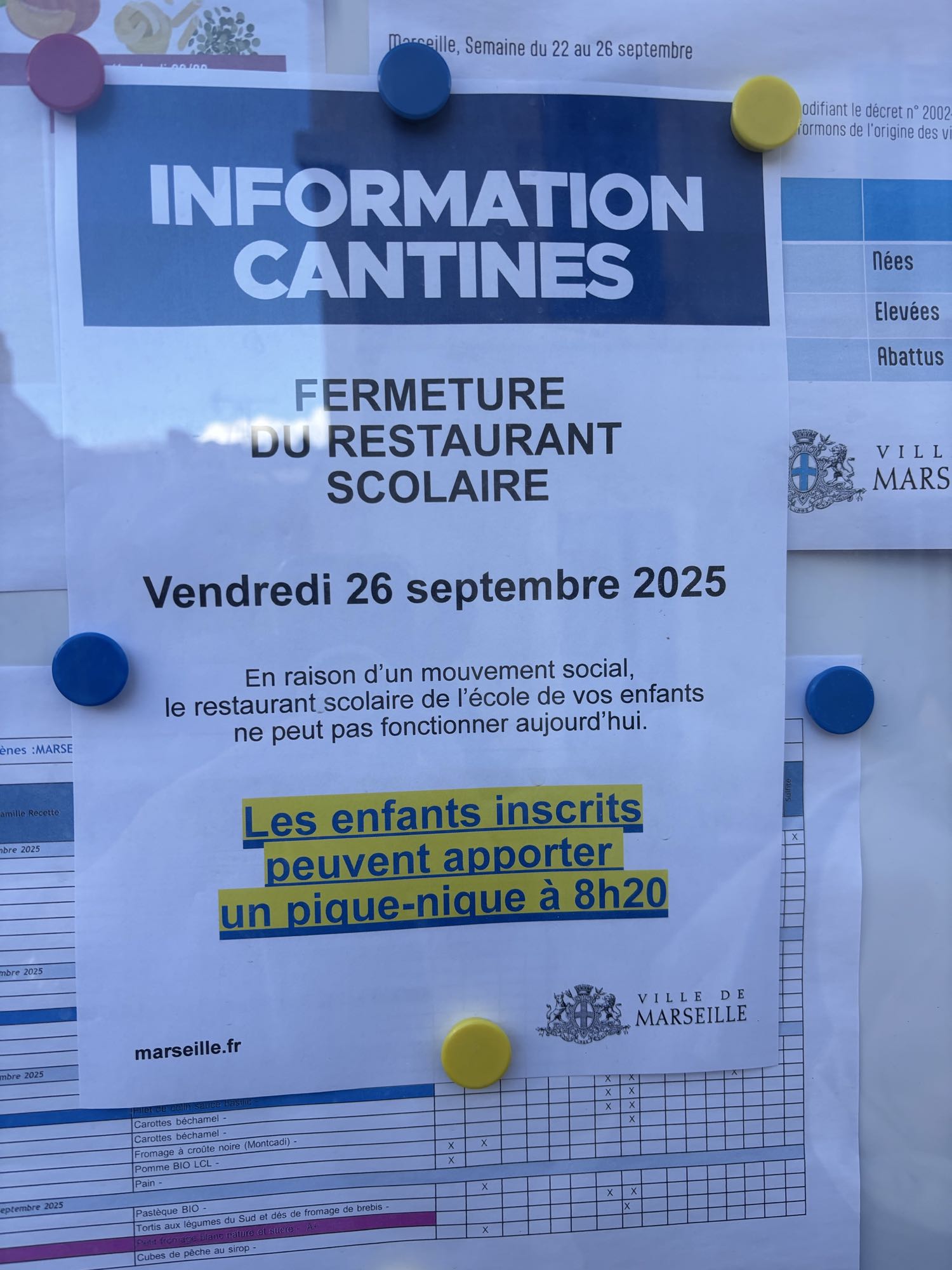 Salade tomates, steak de thon, raisins