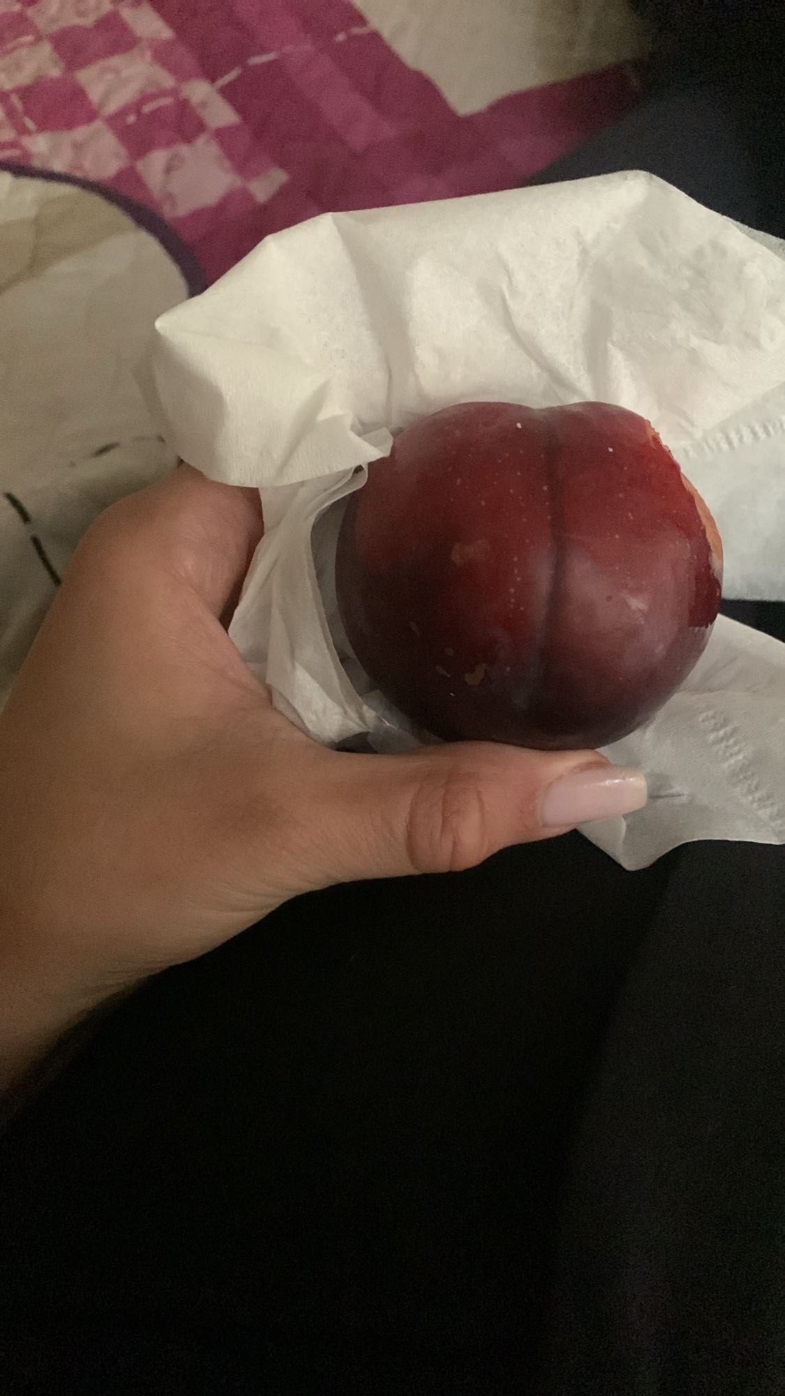 Fresh Plum Snack