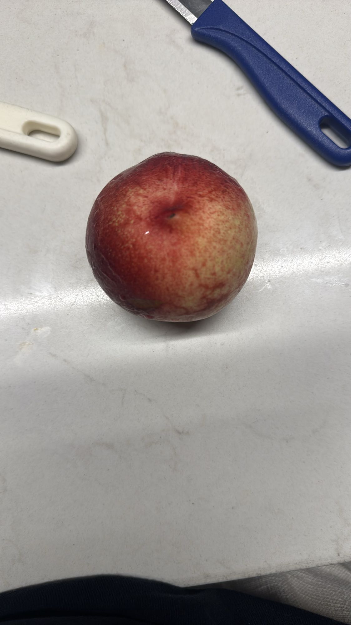 Fresh Nectarine