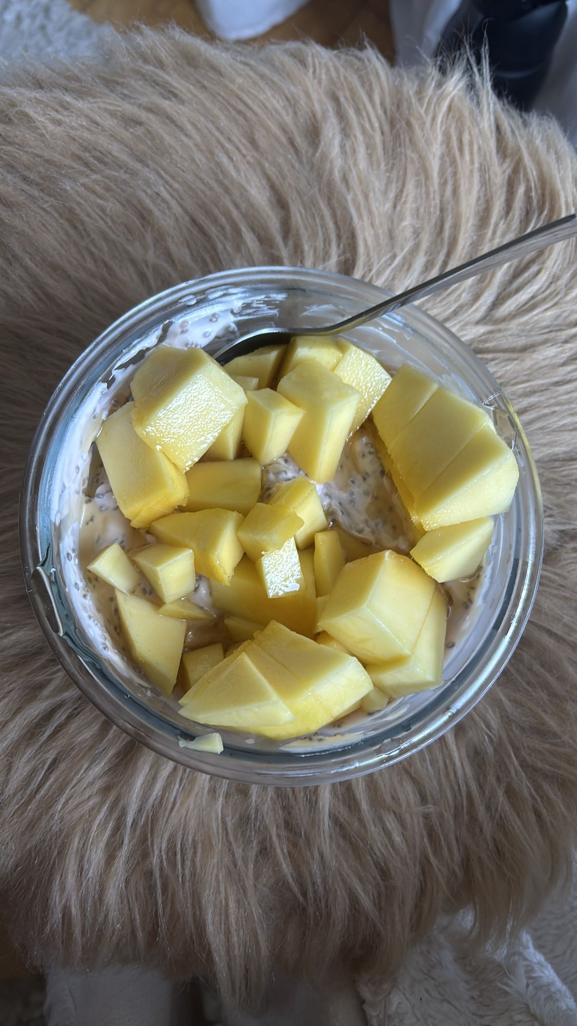 Mango chiapudding
