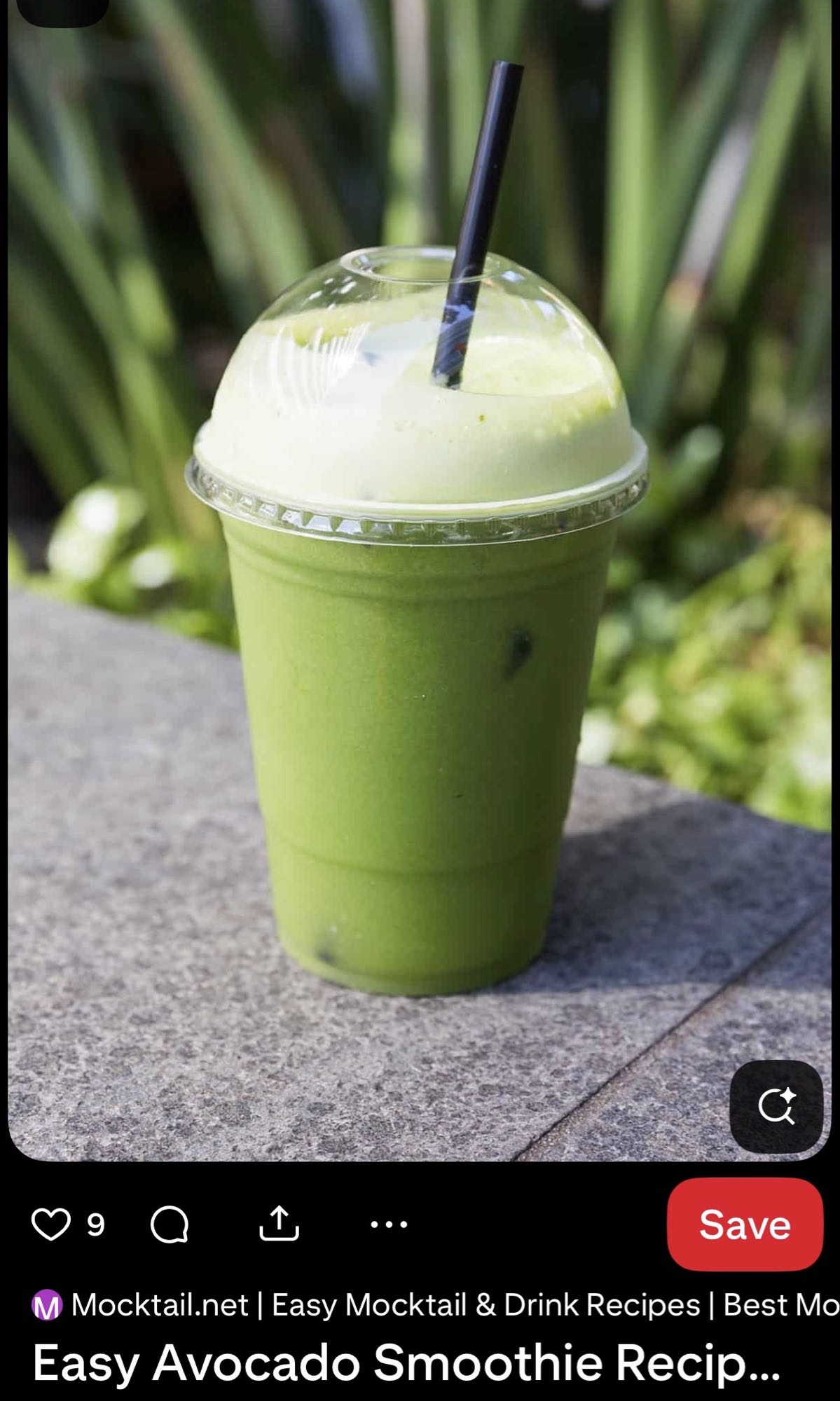 Avocado Smoothie