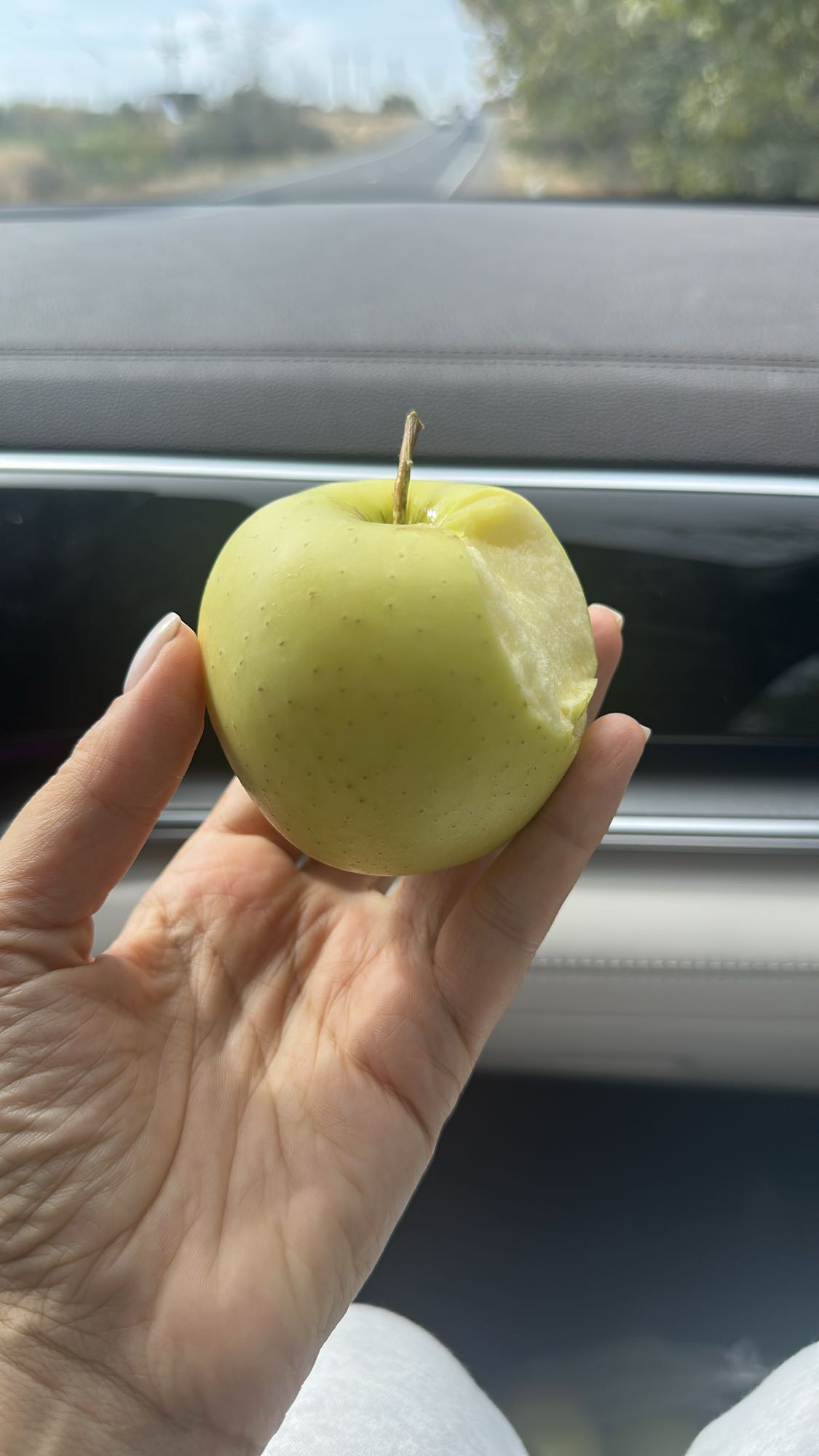 Green Apple Snack