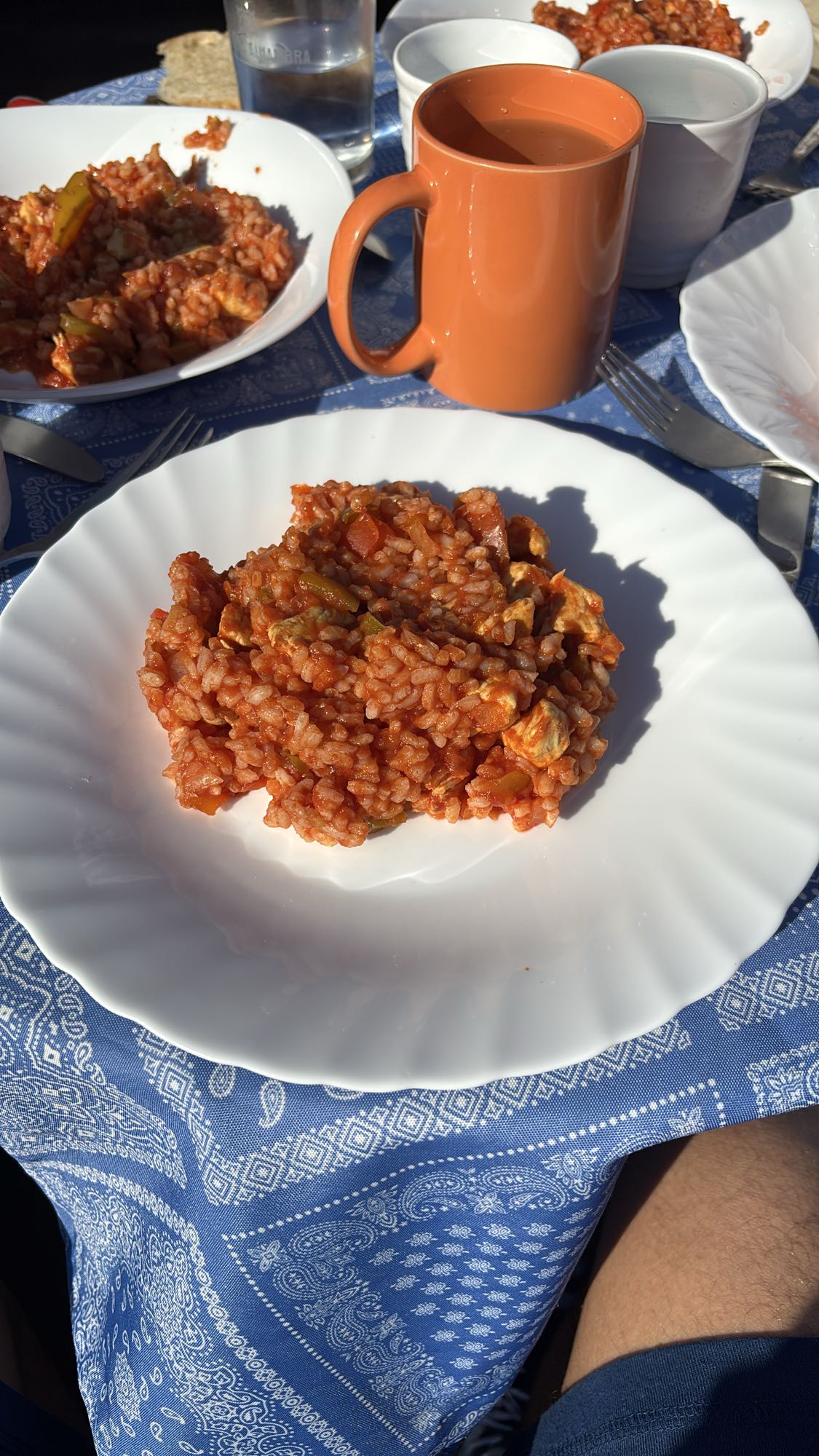 arroz con pollo y verduras