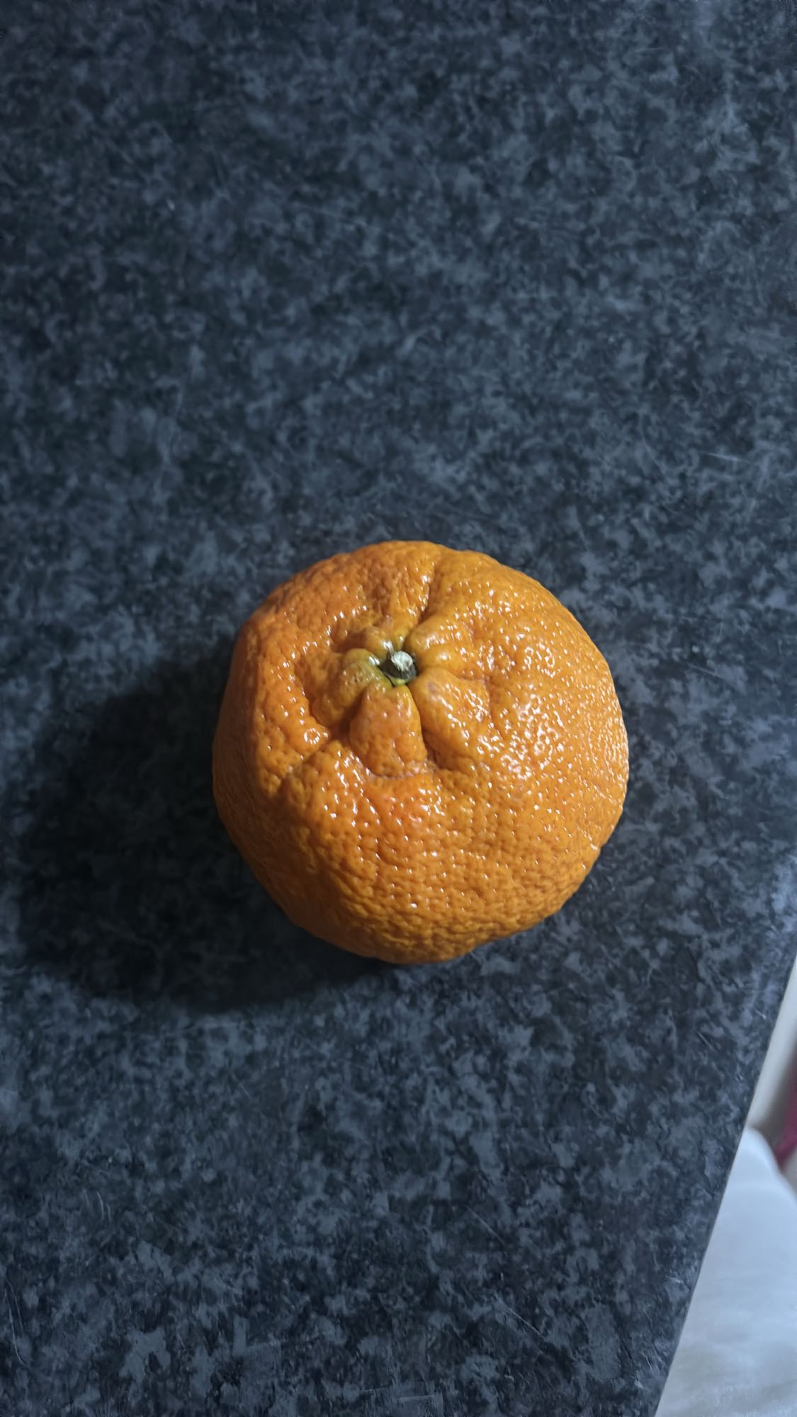 Fresh Orange Snack
