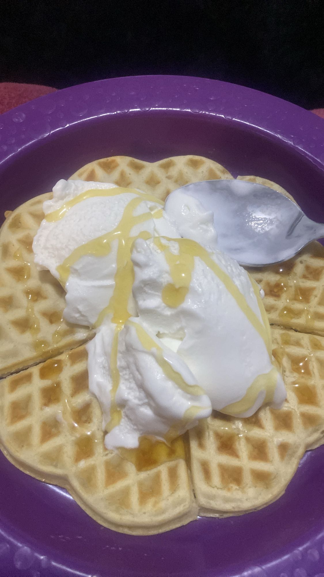 Waffles with Ice Cream