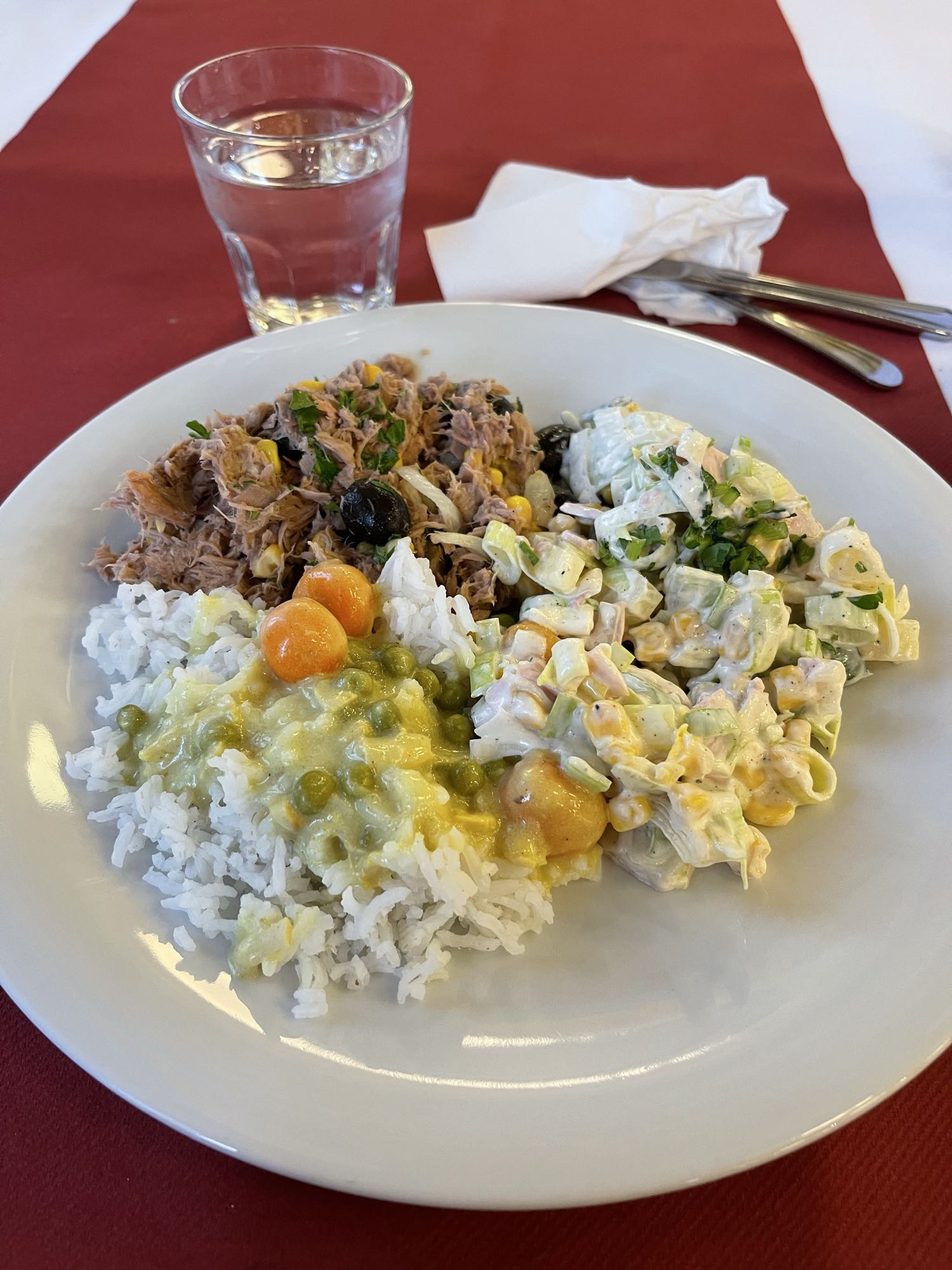 Tuna Rice Salad Plate