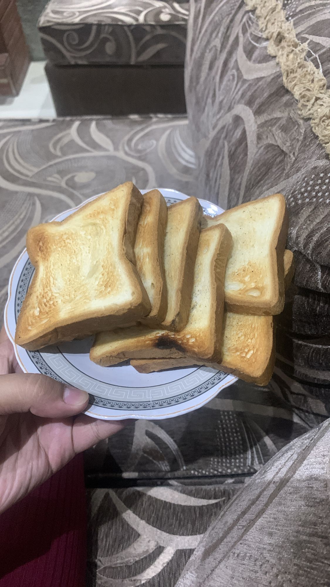 Plate of Toasted Bread
