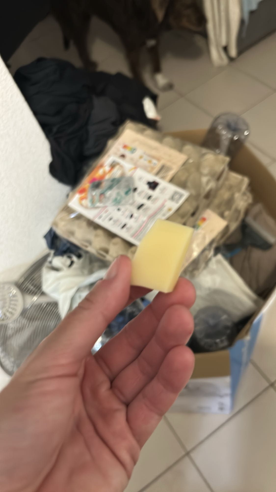 Morceau d’emmental