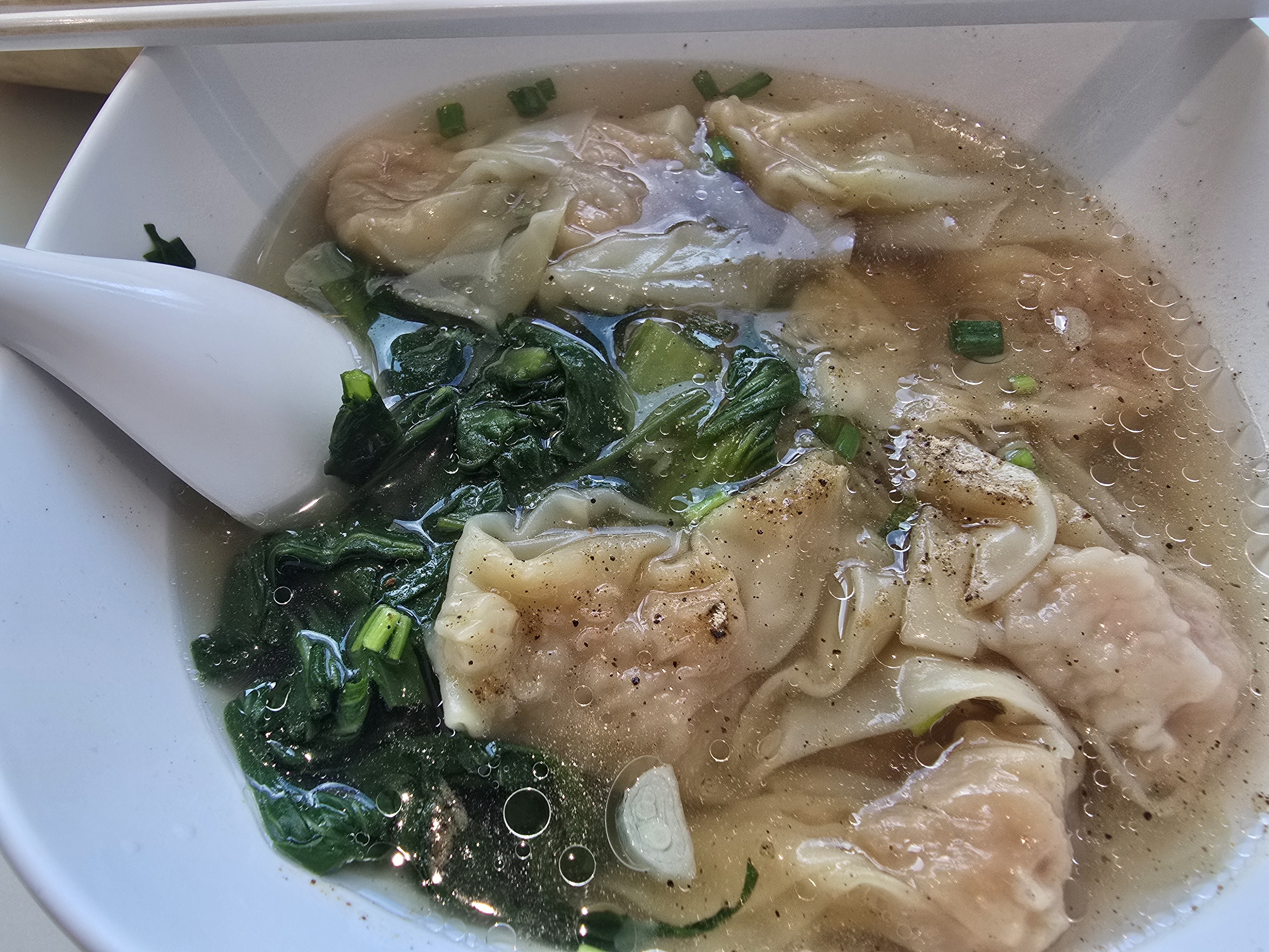Wonton Soup