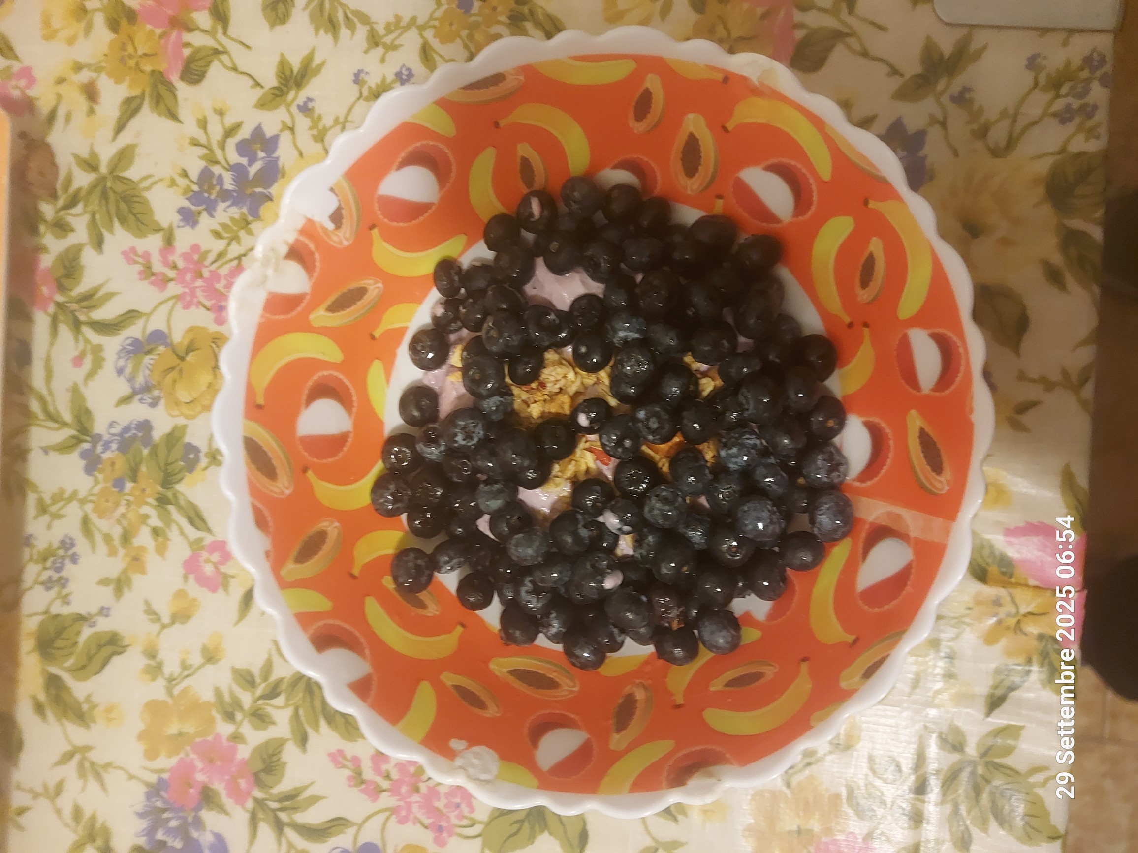 Blueberry Yogurt Muesli Bowl