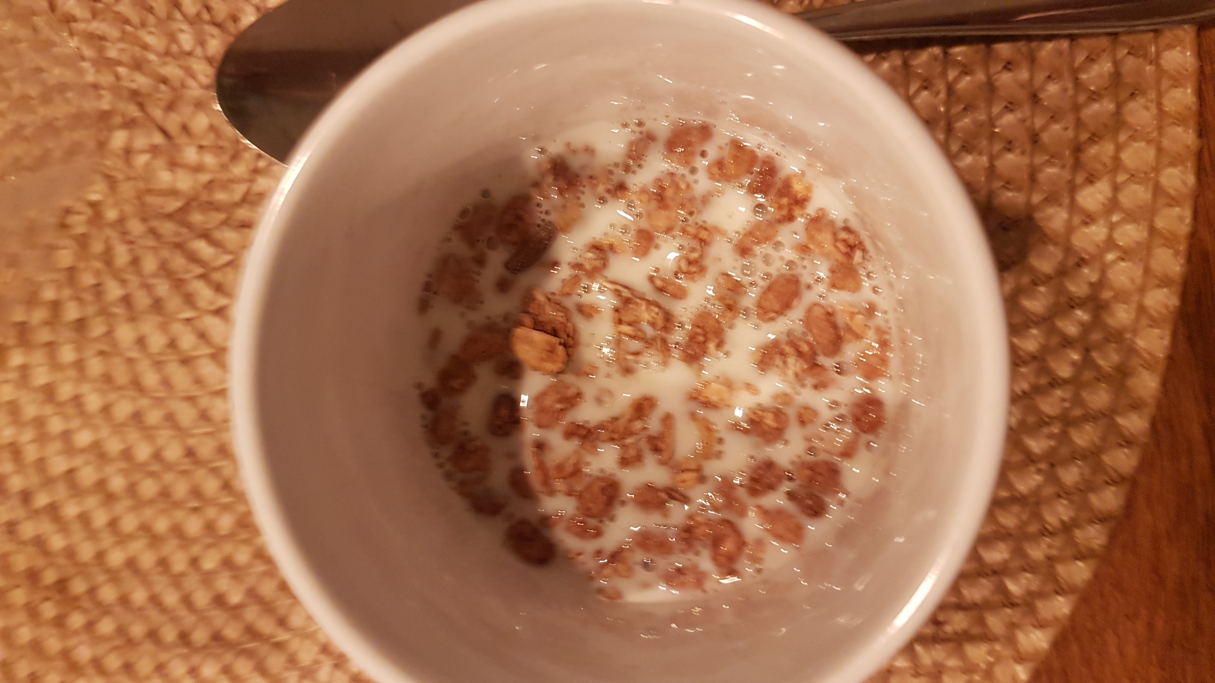Müsli mit Milch
