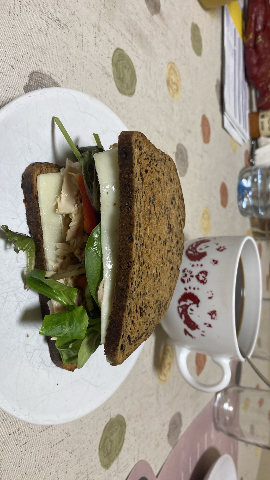 Sándwich proteico con atún