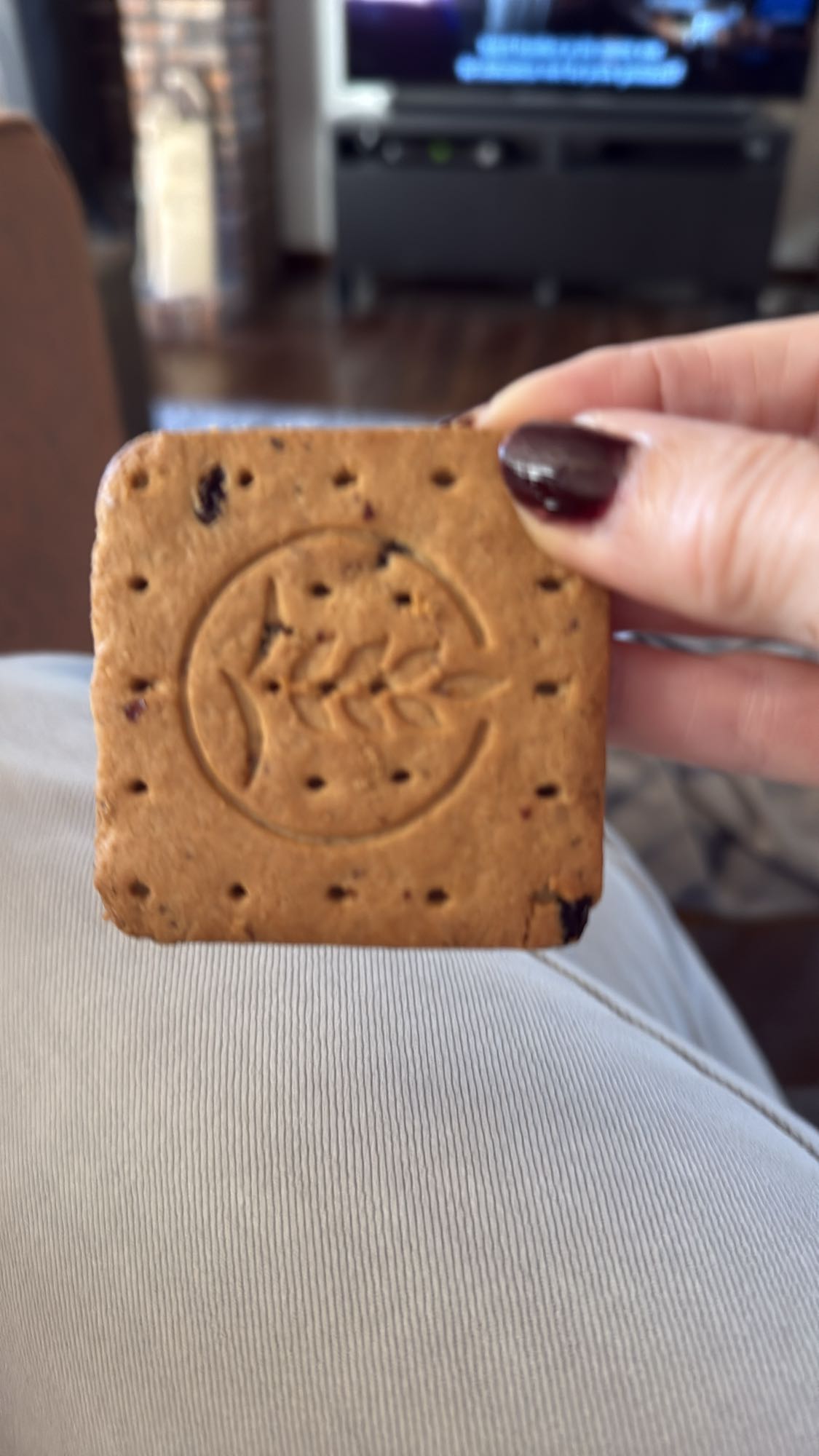 volkoren biscuit