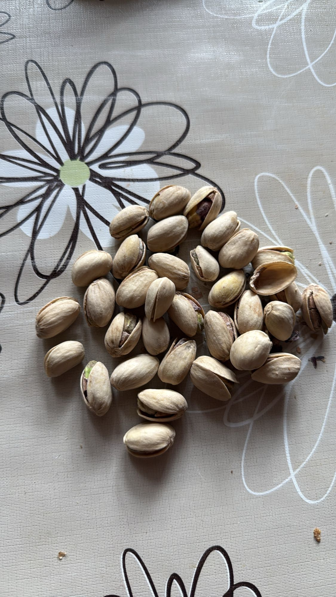 Fistic crud cu coajă