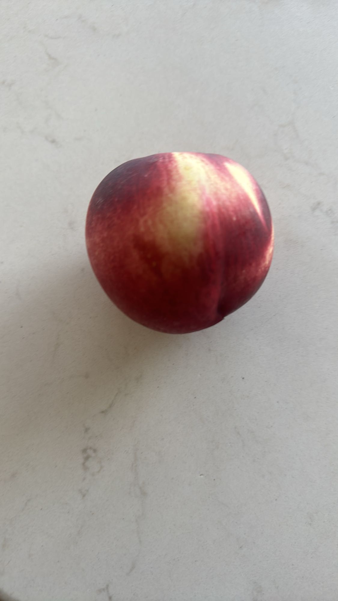 Fresh Nectarine