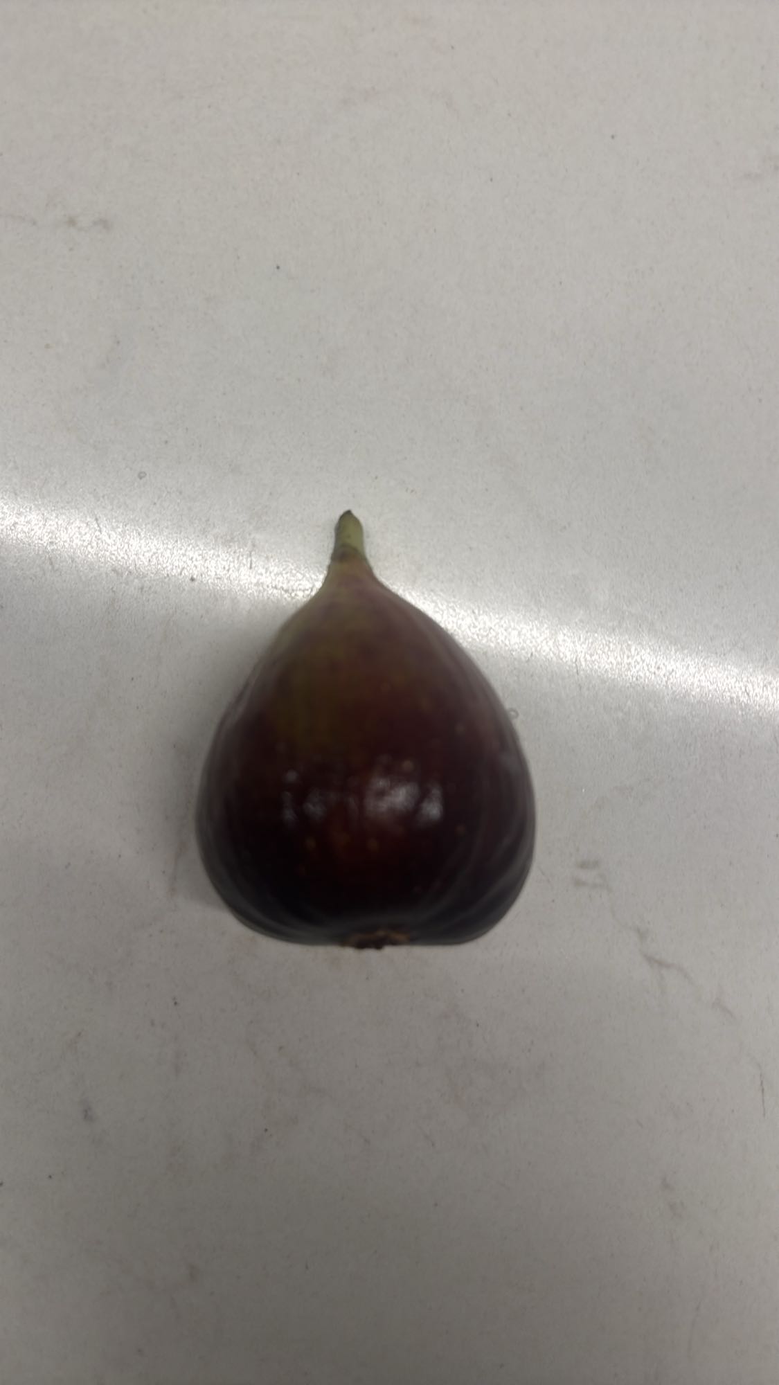 Fresh Fig