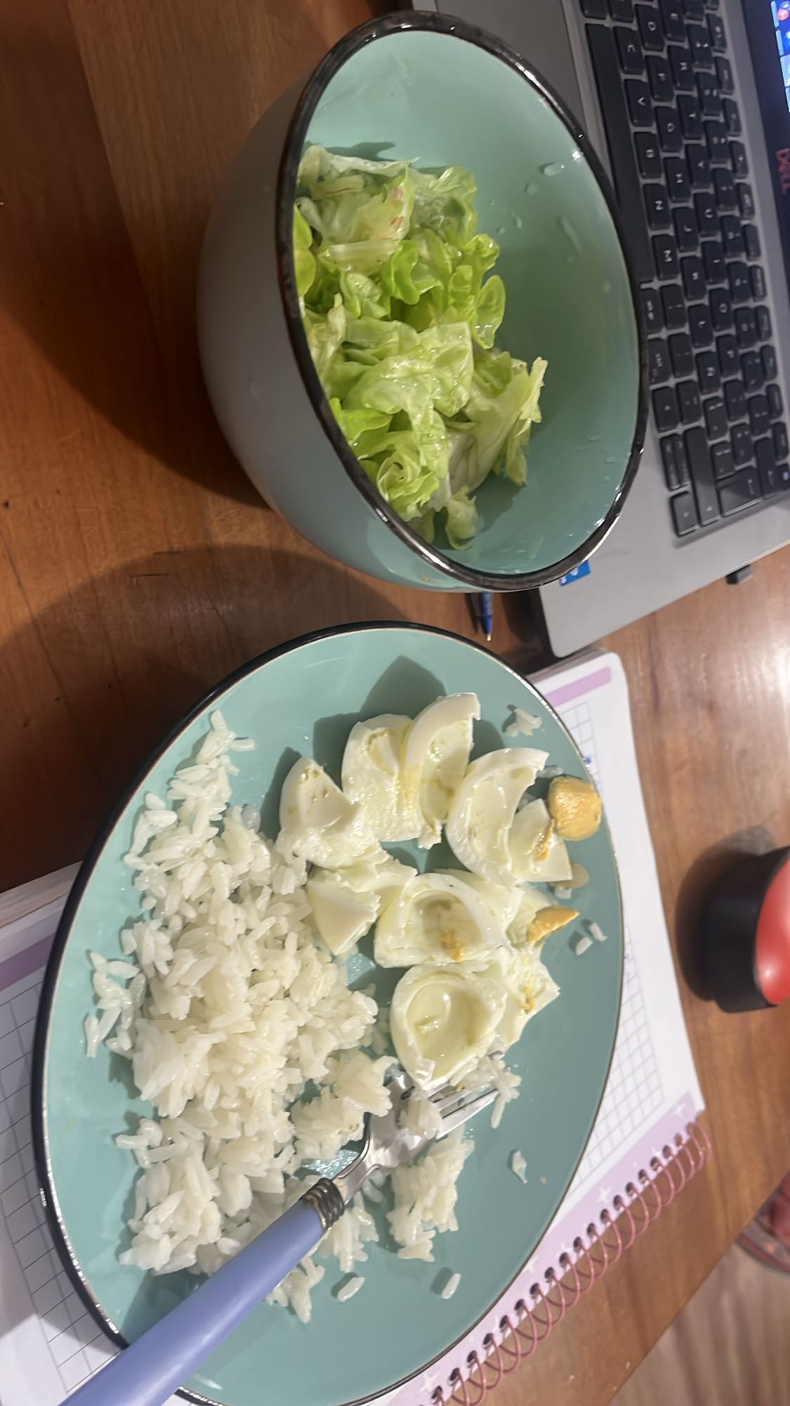 Arroz, huevo y ensalada