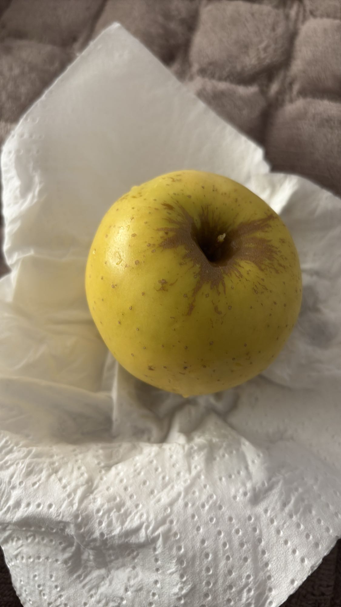Gult eple