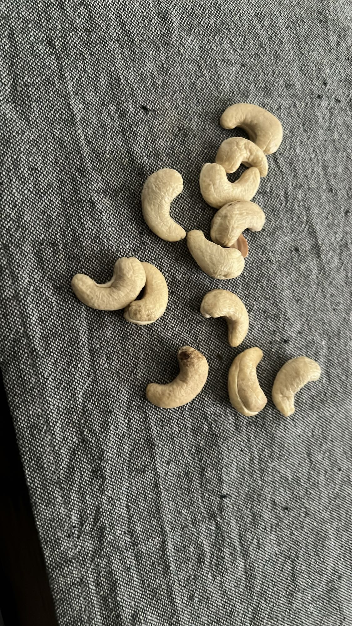 Կեշյու ընկույզ