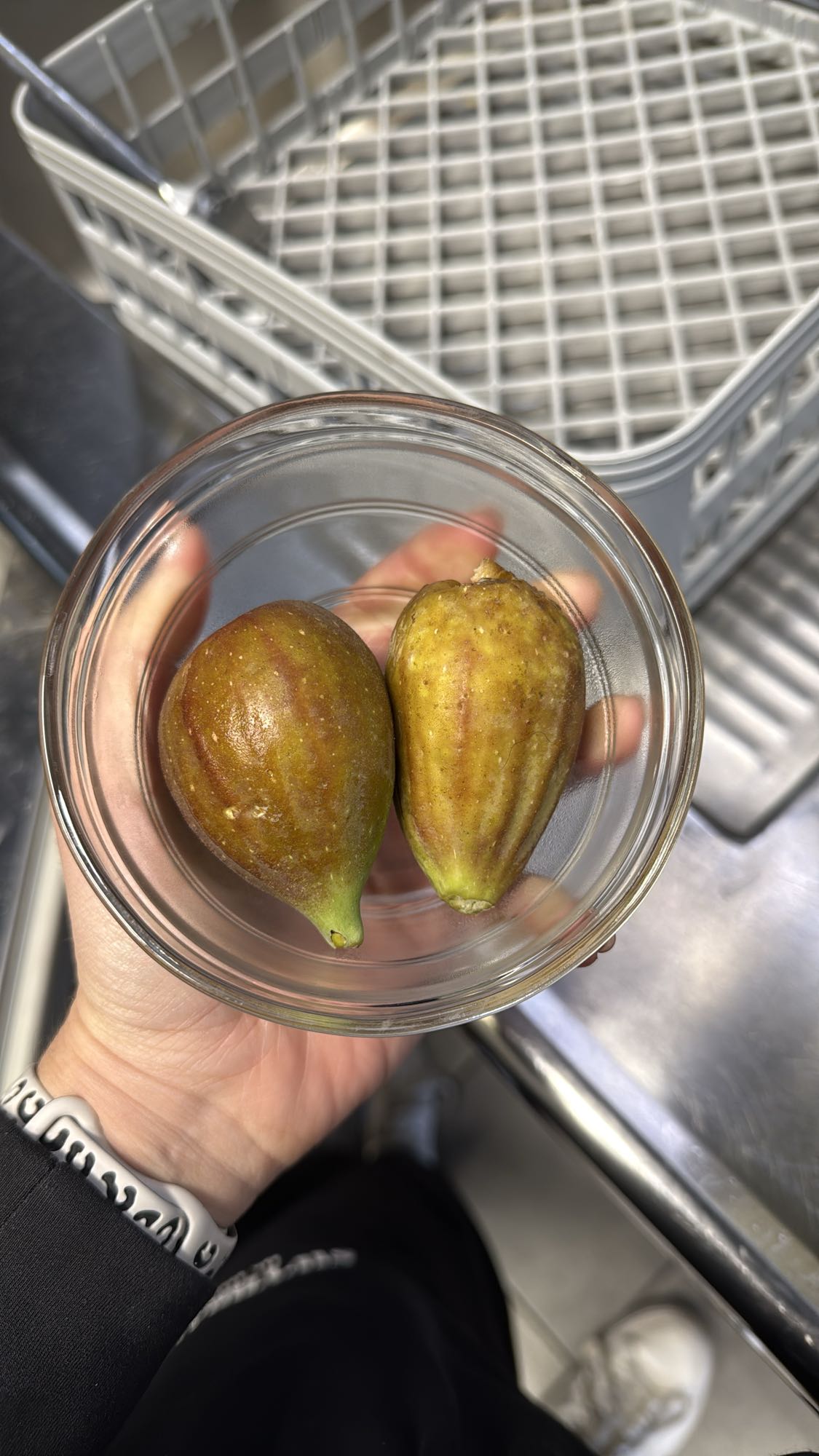 Fresh Figs Bowl