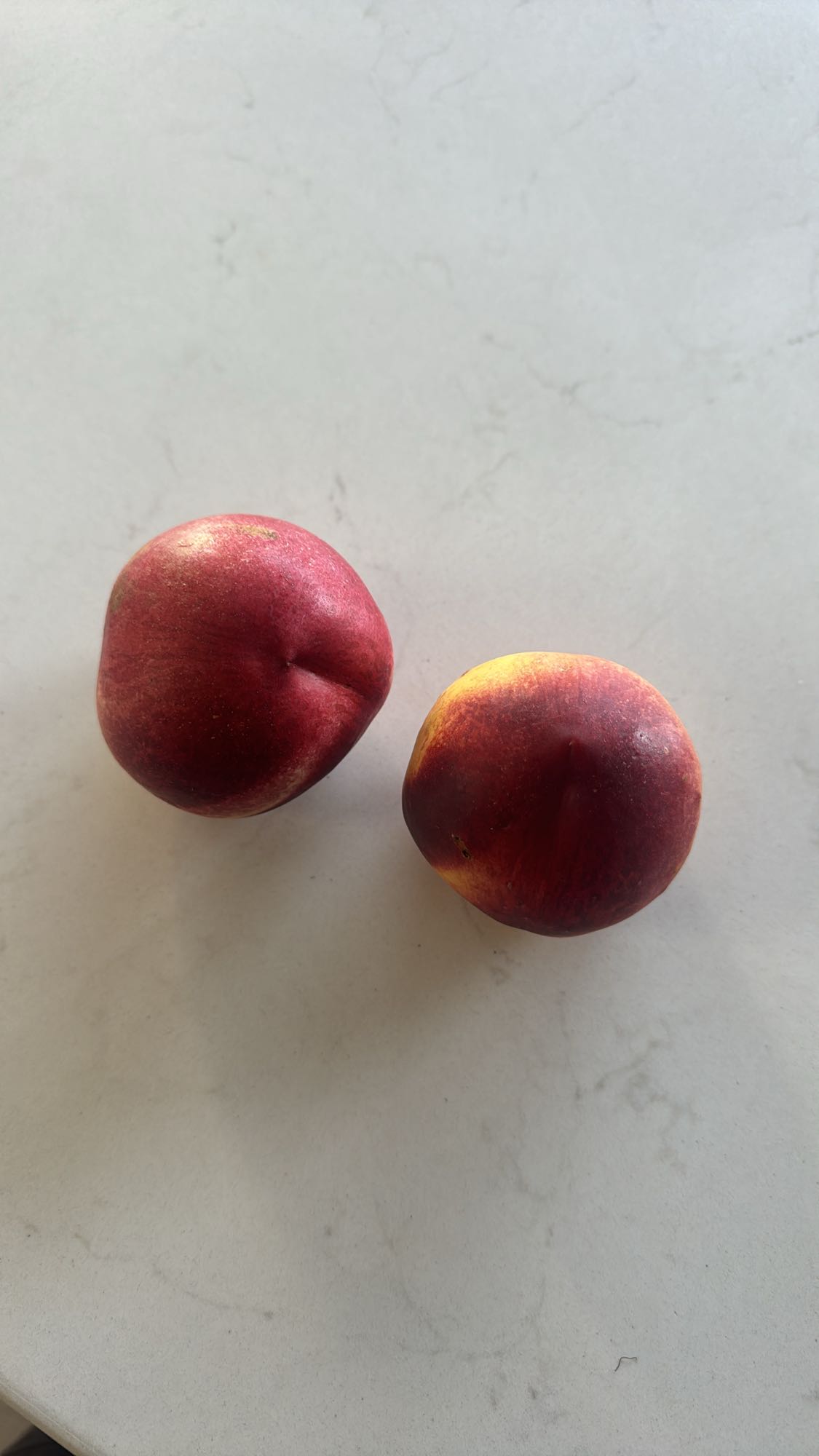 Fresh Nectarines