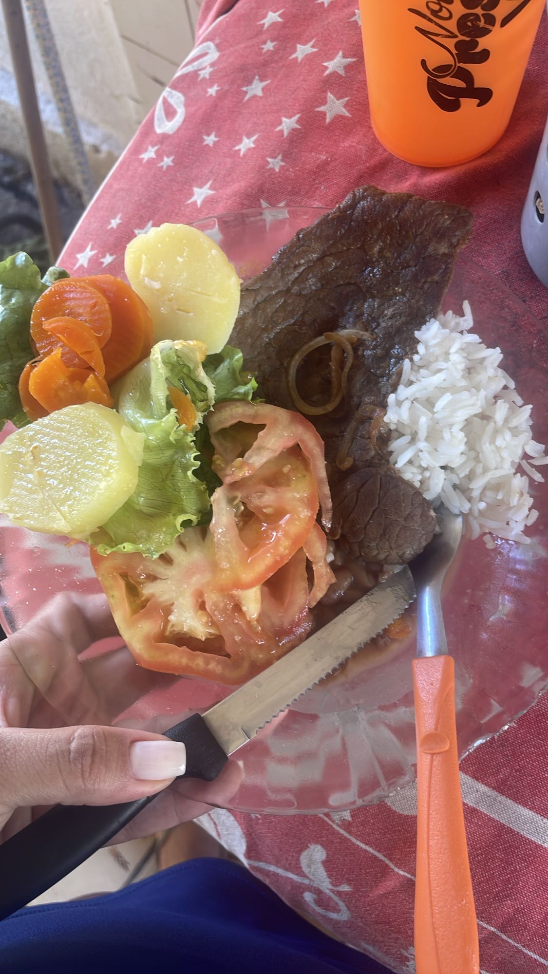 Bife com arroz e salada