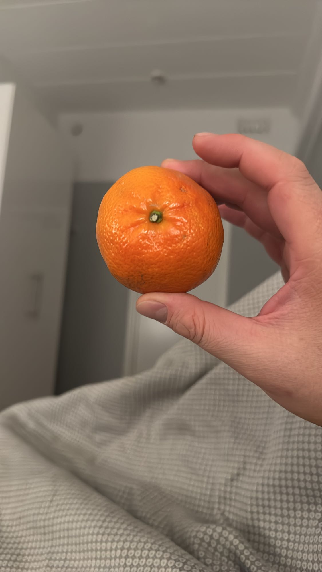 Clementin