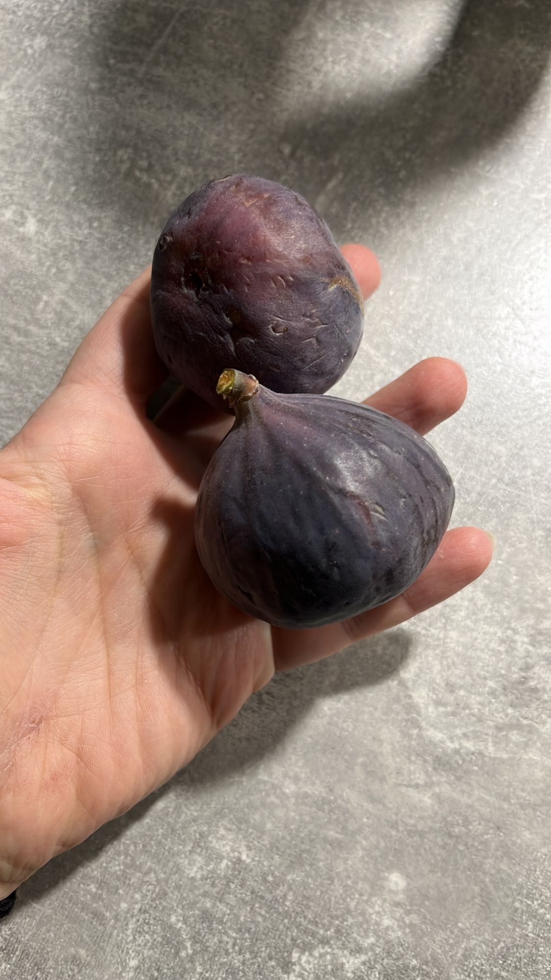 Fresh Figs Snack