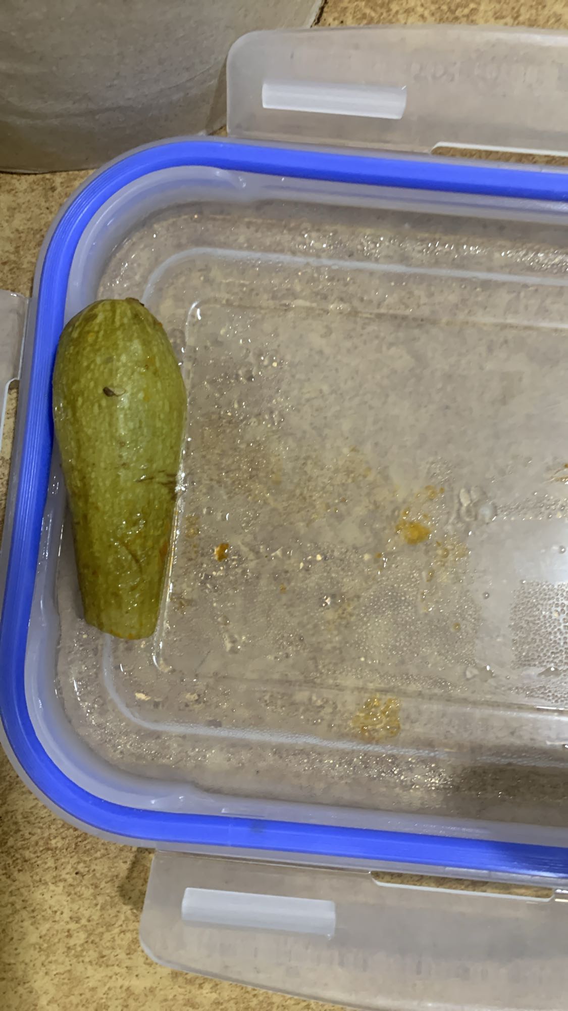 Single Pickle Snack
