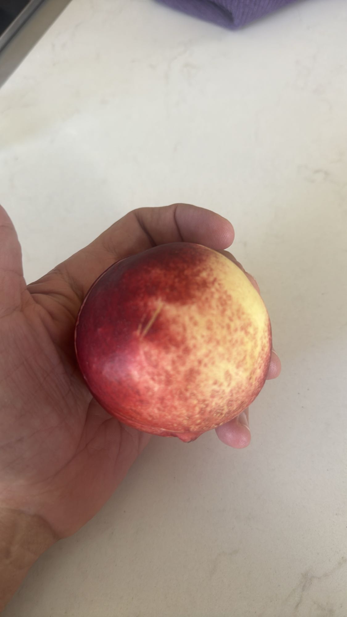 Fresh Nectarine