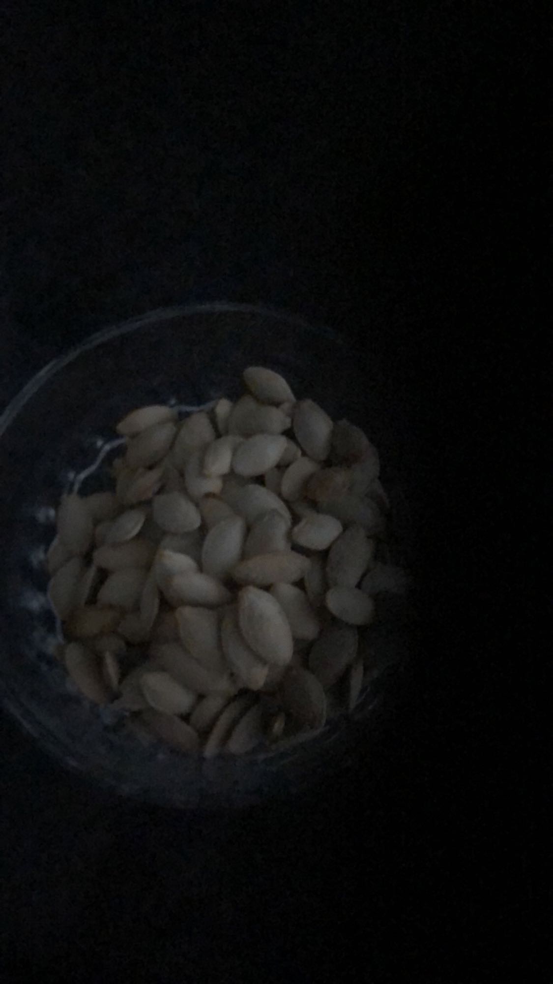 Roasted pumpkin seeds