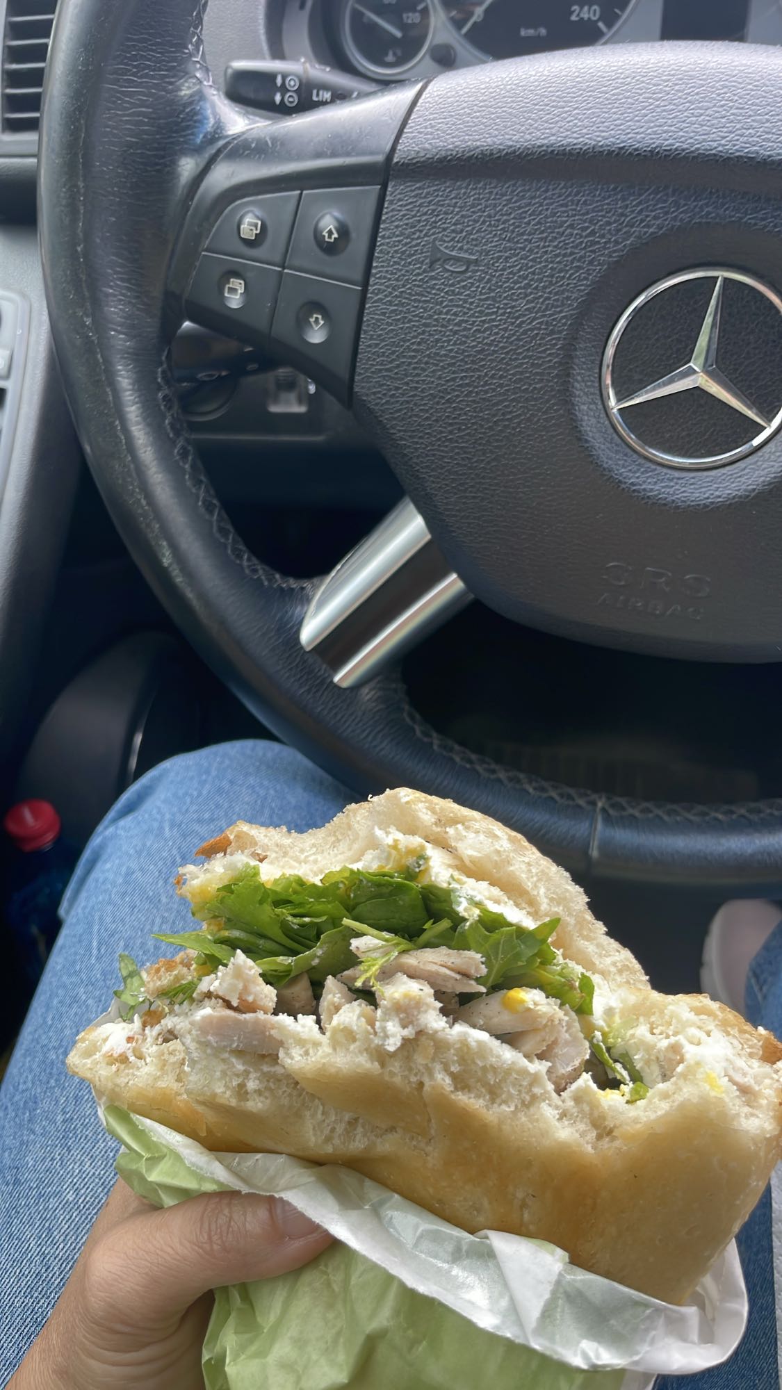 Sandviș cu pui și verdeață