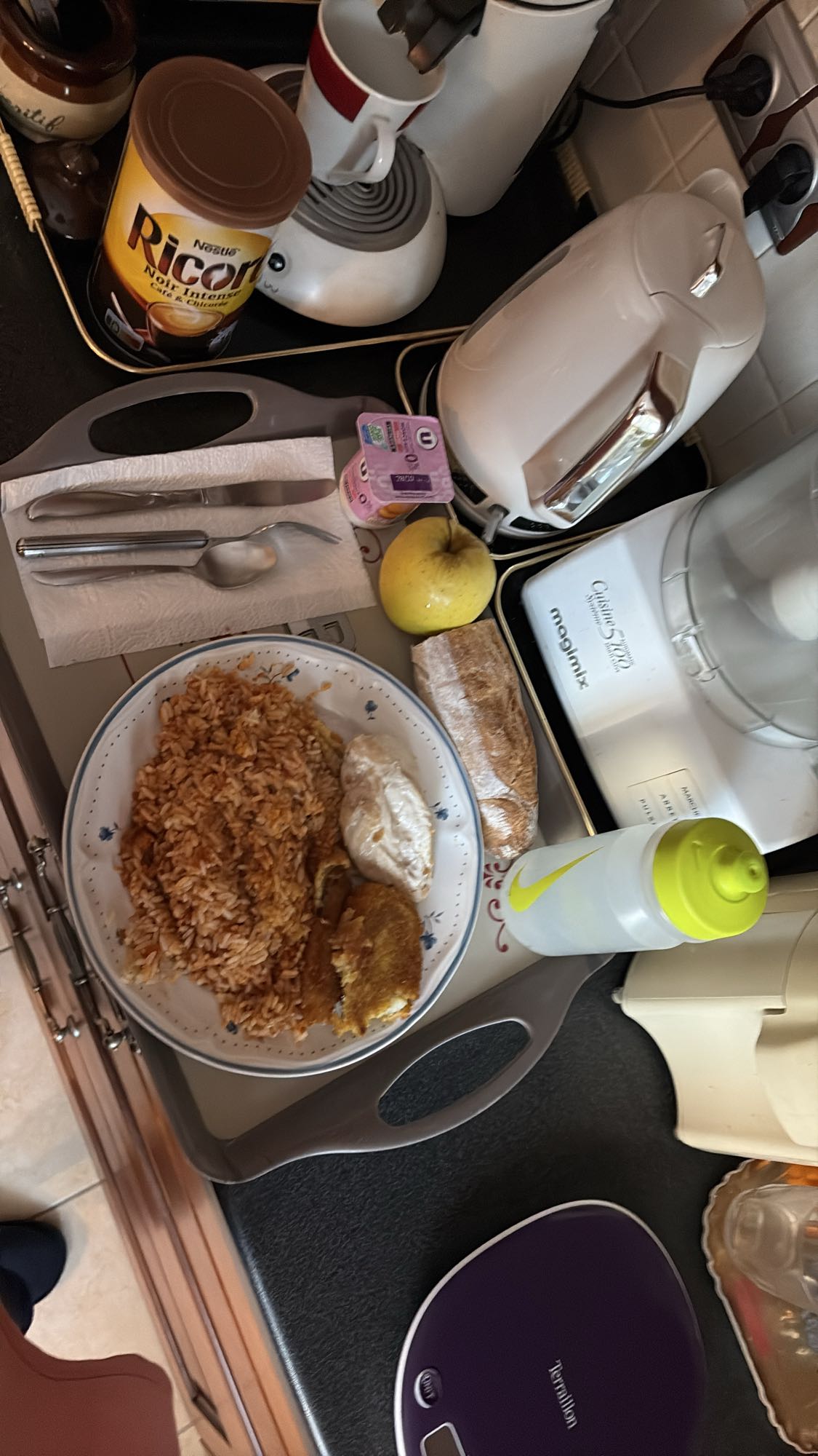 Riz, poulet et yaourt