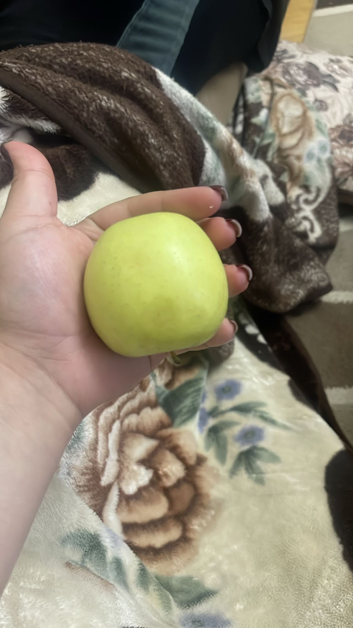 зелёное яблоко