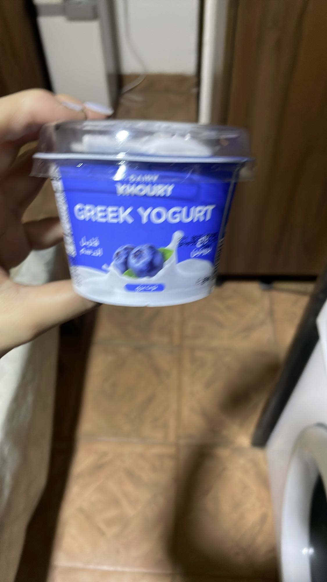 Blueberry Greek Yogurt