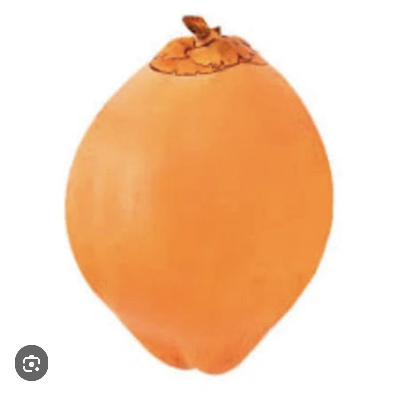 Persimmon Fruit
