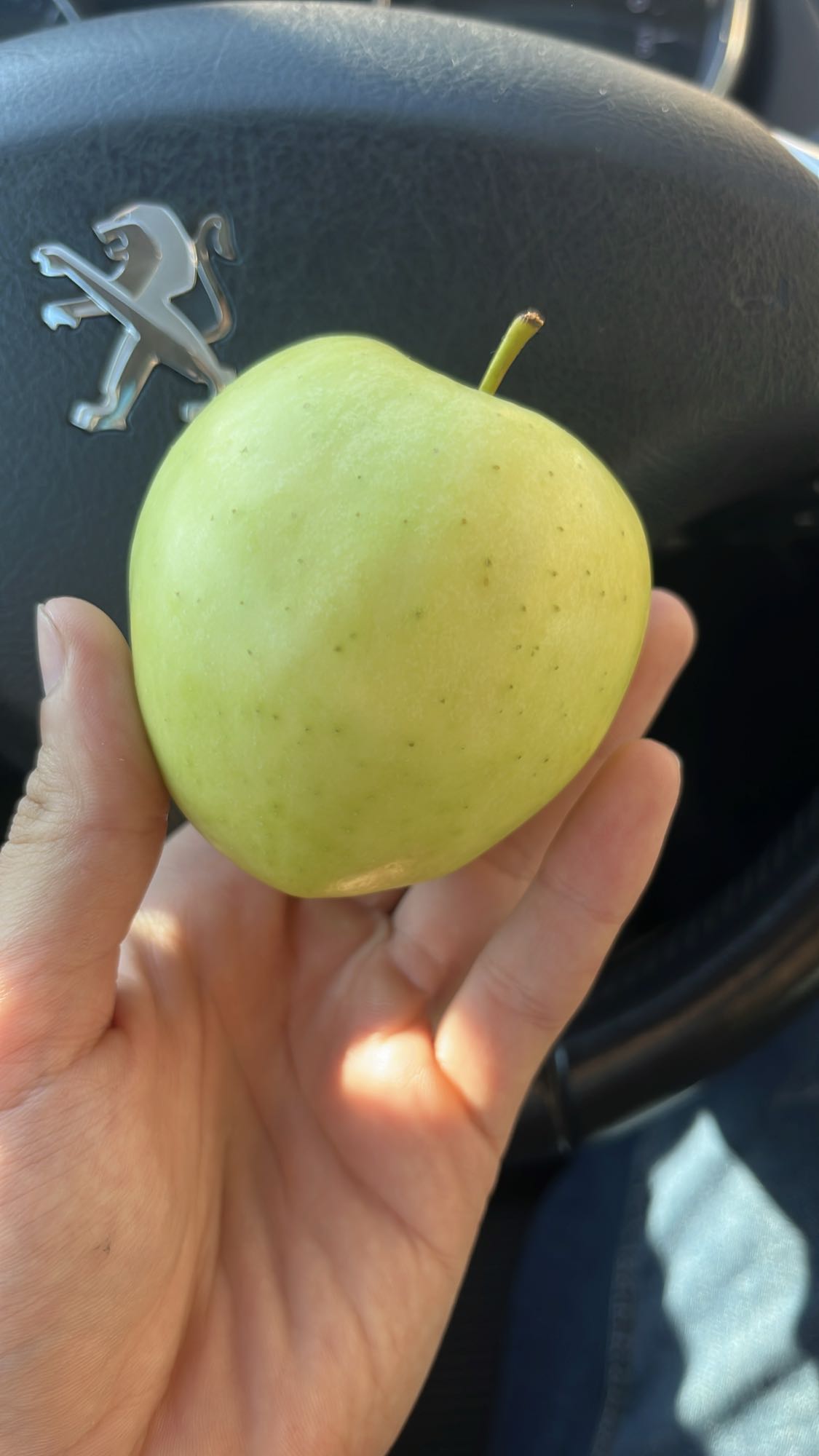 Manzana verde