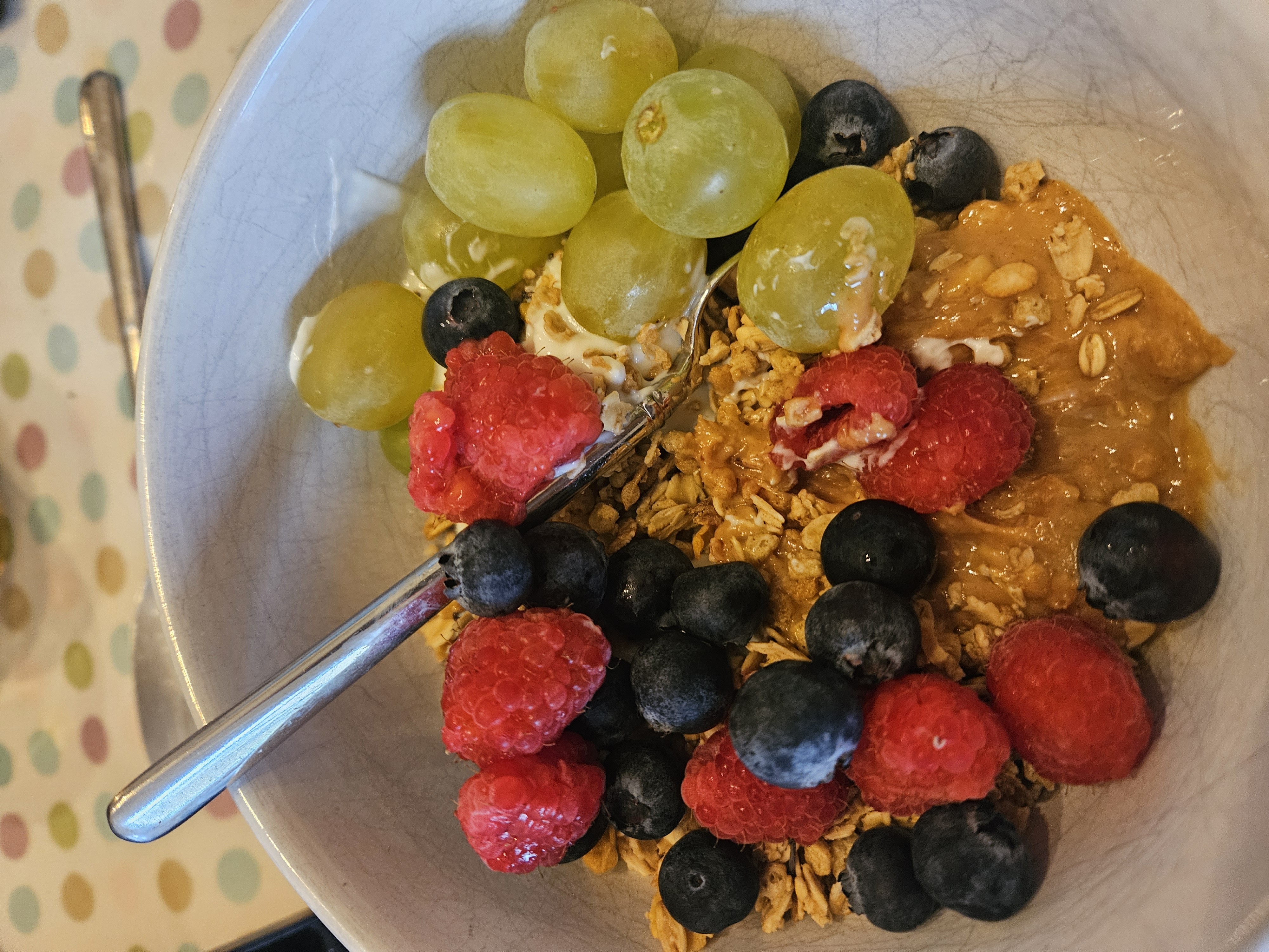 Fruit Yogurt Granola Bowl